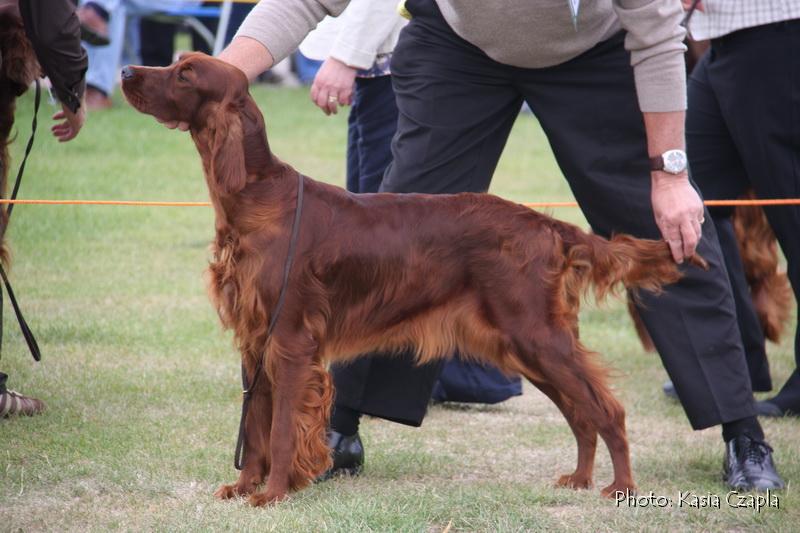 Covarney Annabelle With Hopstone.jpg